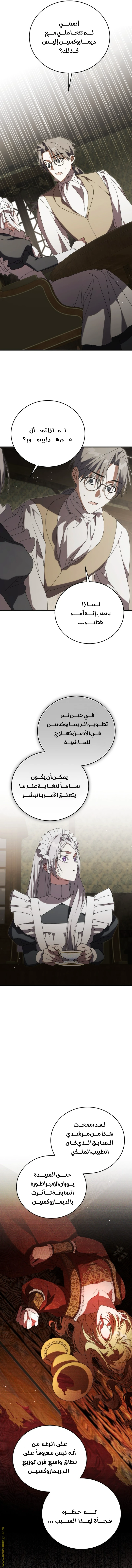 الصفحة 13