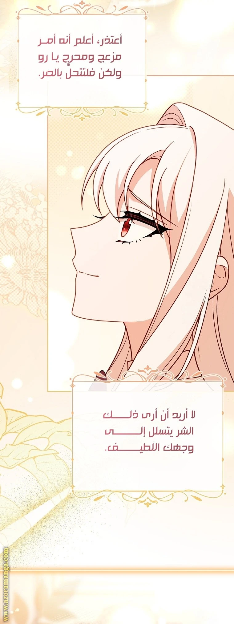 الصفحة 27