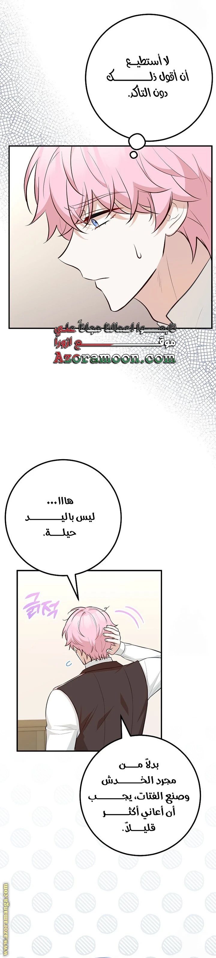 الصفحة 27