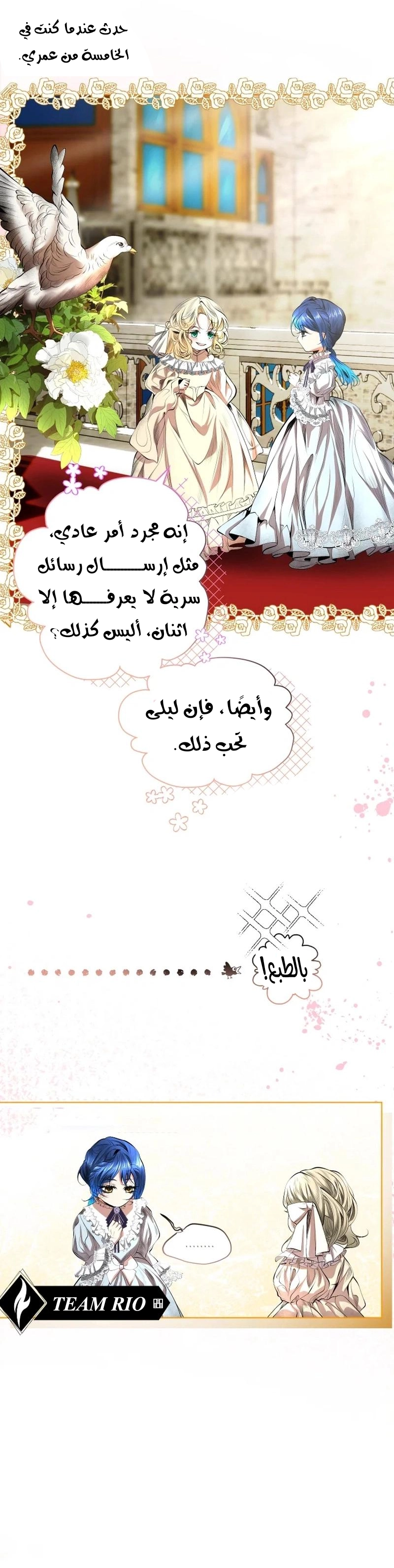 الصفحة 5