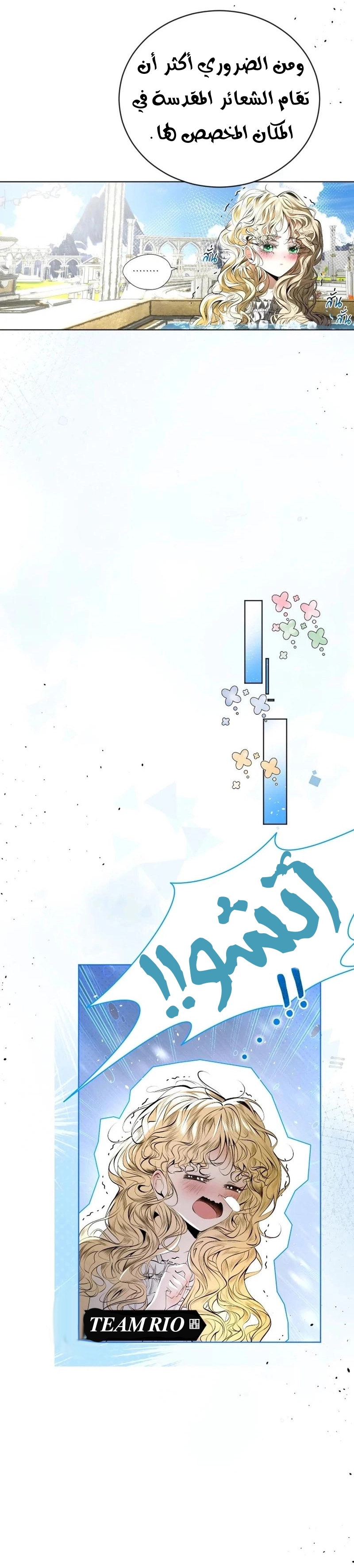 الصفحة 13
