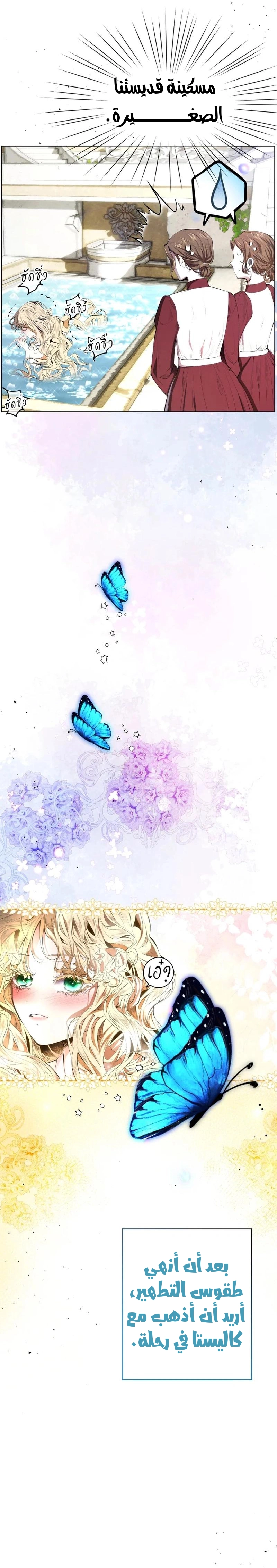 الصفحة 14