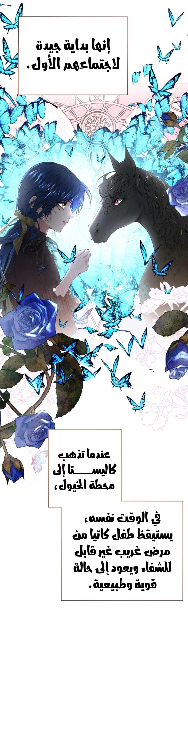 الصفحة 24