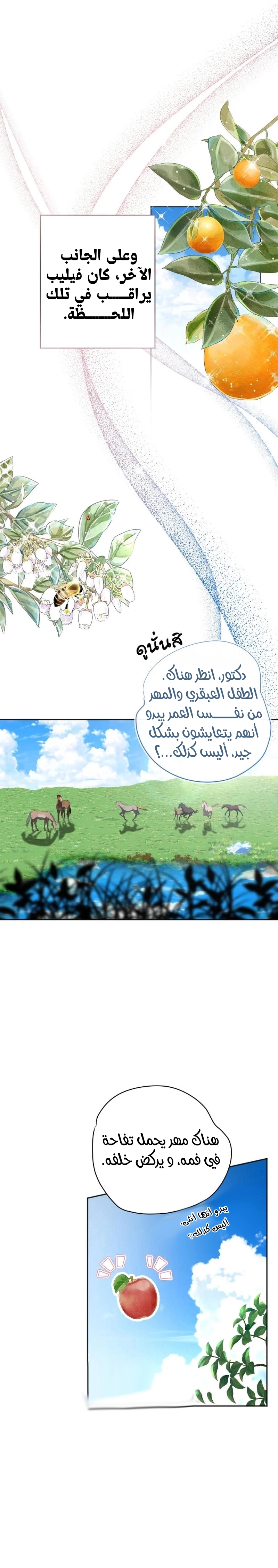 الصفحة 29