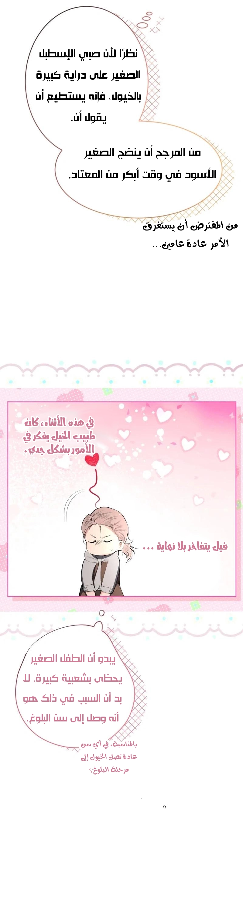 الصفحة 31