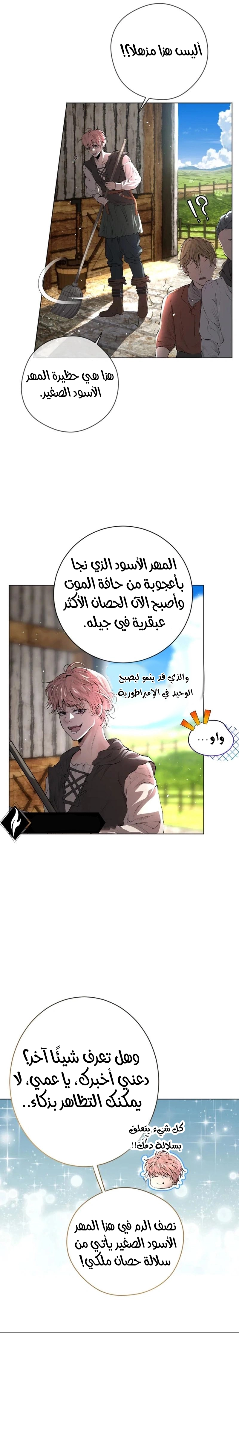 الصفحة 36