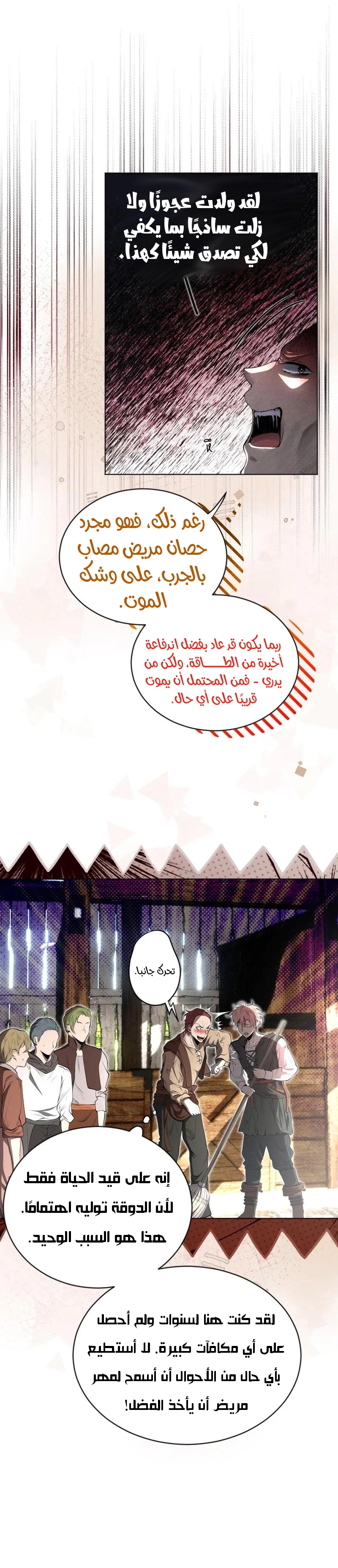 الصفحة 41
