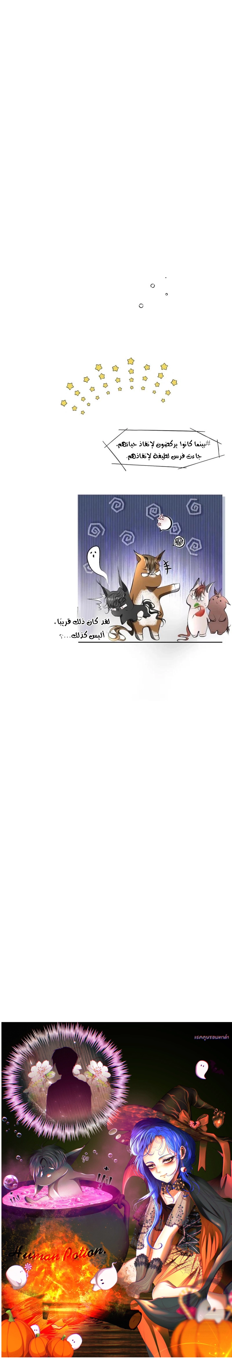 الصفحة 44