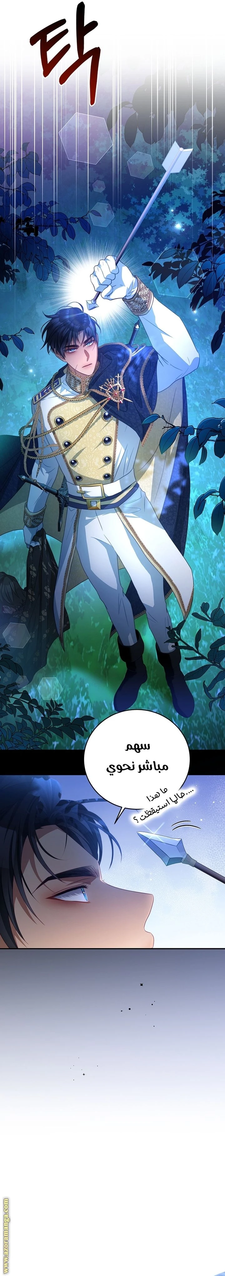 الصفحة 14