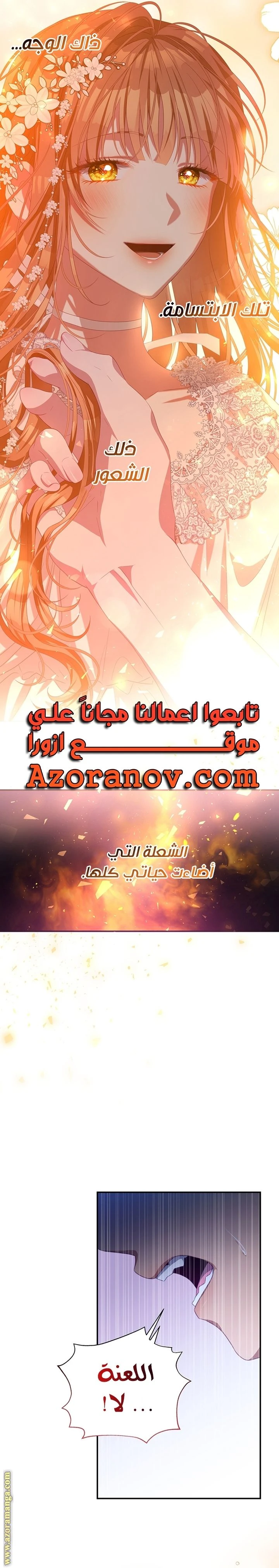 الصفحة 21