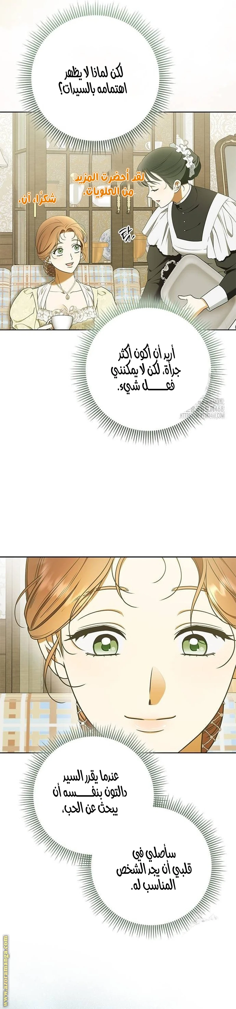 الصفحة 29