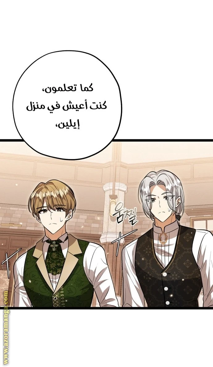 الصفحة 38