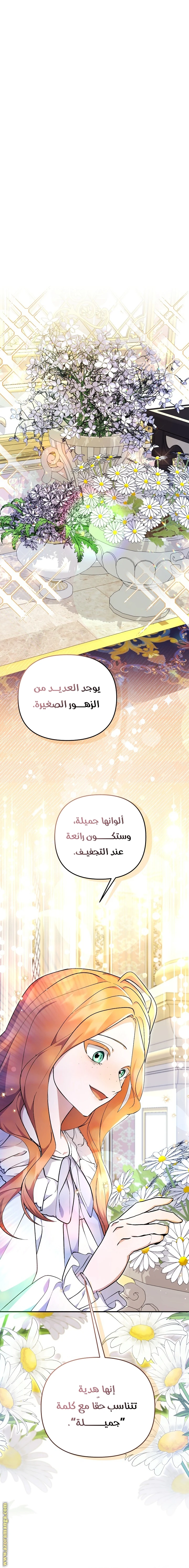 الصفحة 13