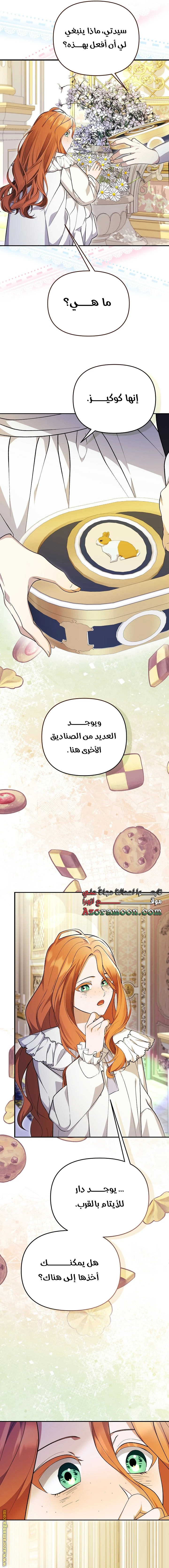 الصفحة 14