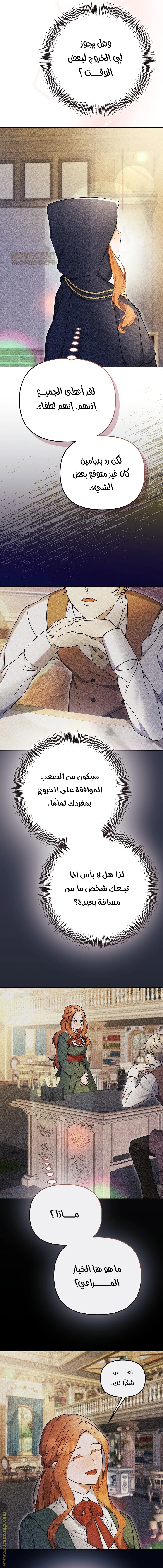 الصفحة 17