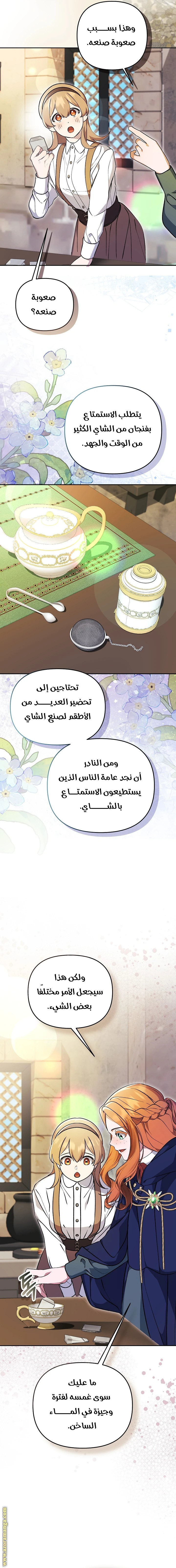 الصفحة 21