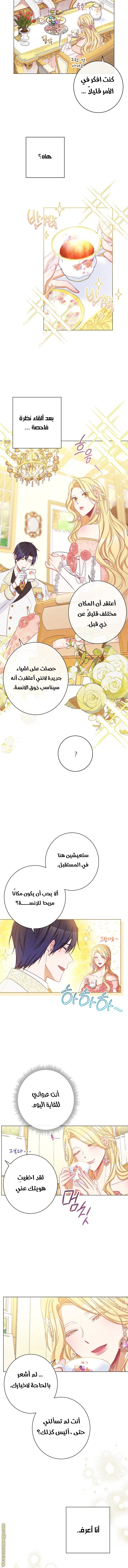 الصفحة 3