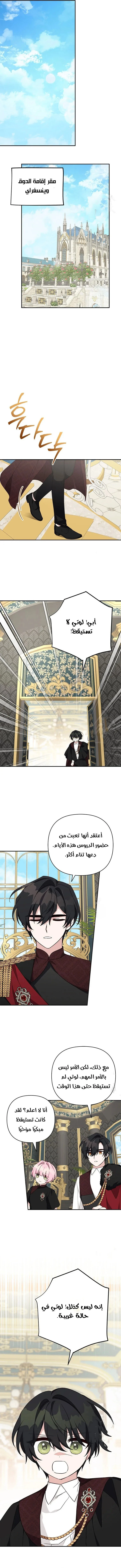 الصفحة 10