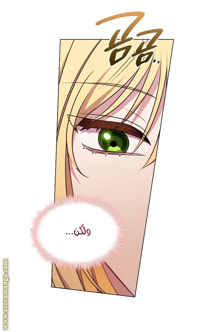 الصفحة 27