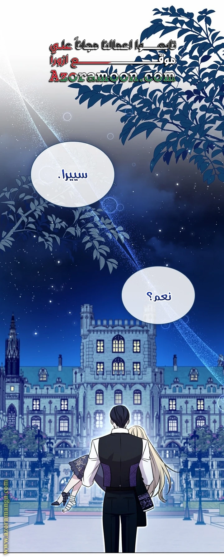 الصفحة 29