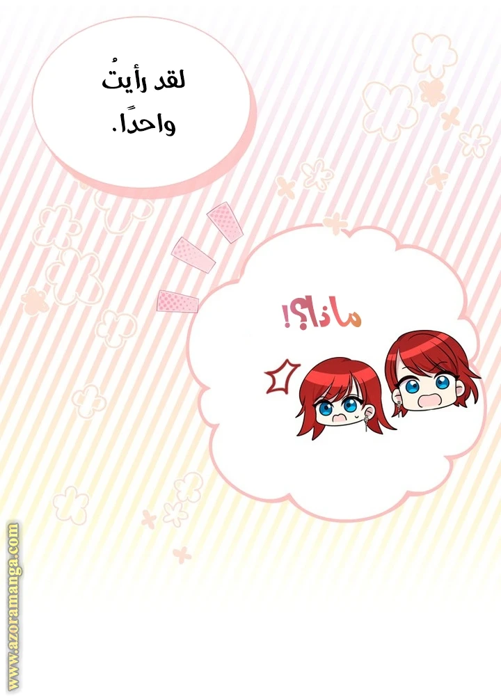 الصفحة 41