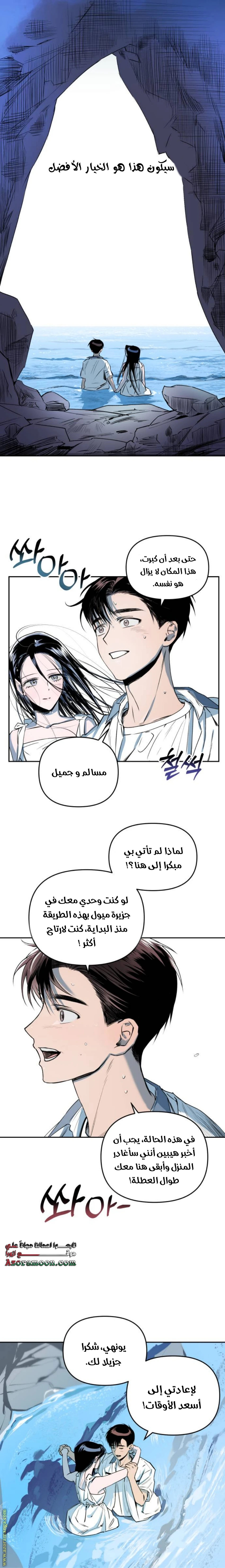 الصفحة 17