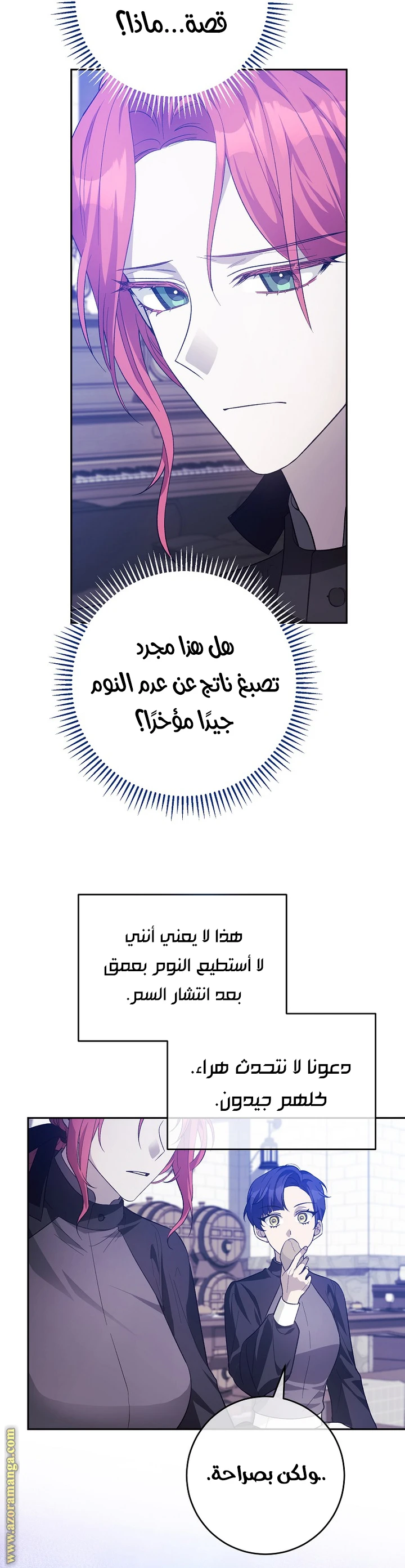 الصفحة 25