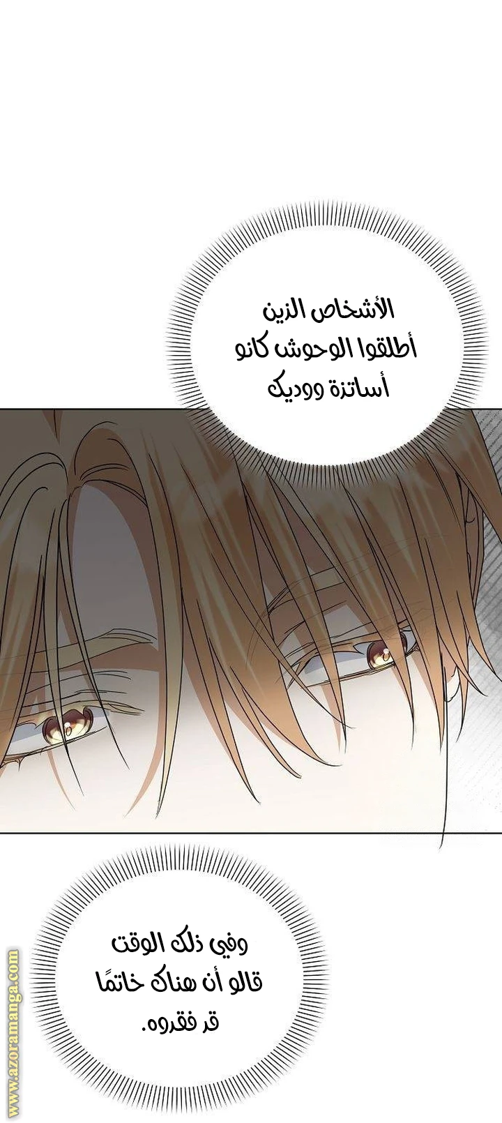الصفحة 29