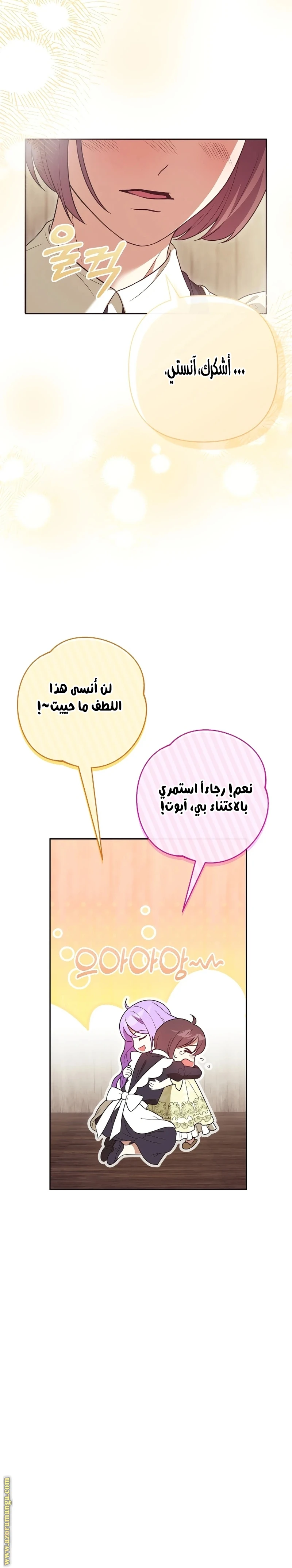 الصفحة 17