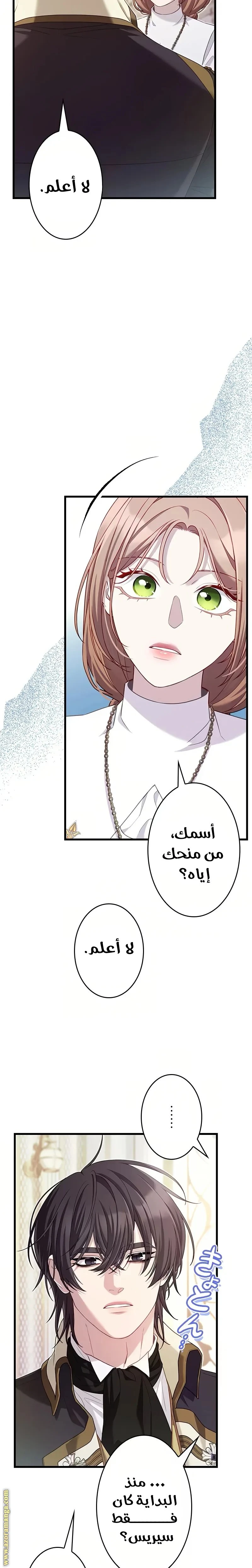 الصفحة 11