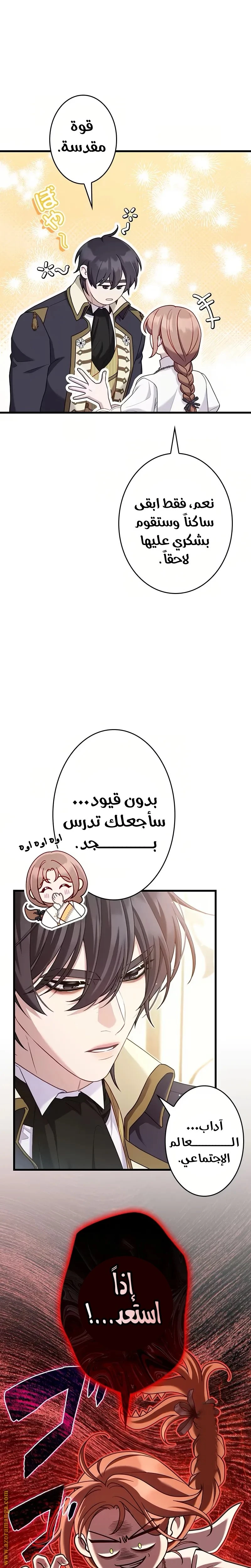 الصفحة 17