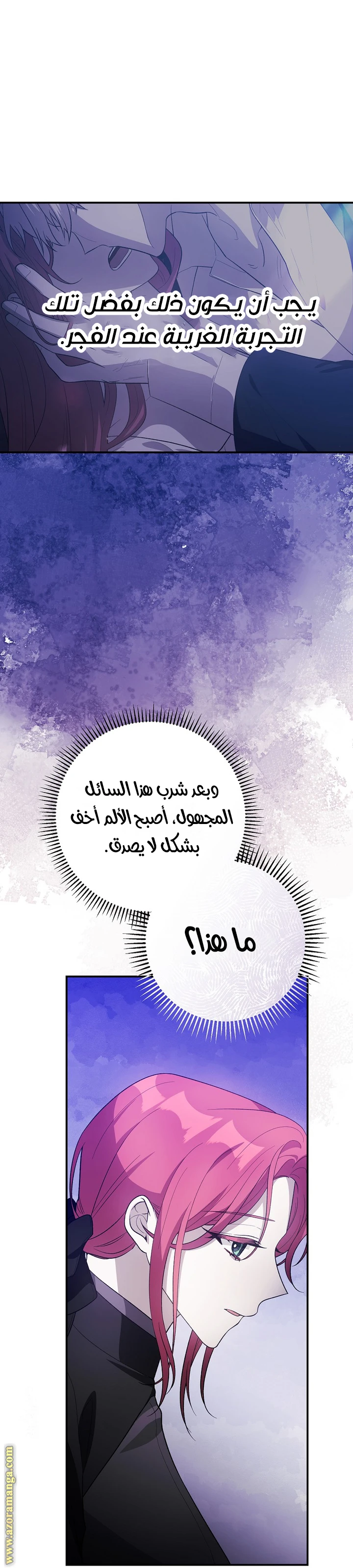 الصفحة 21