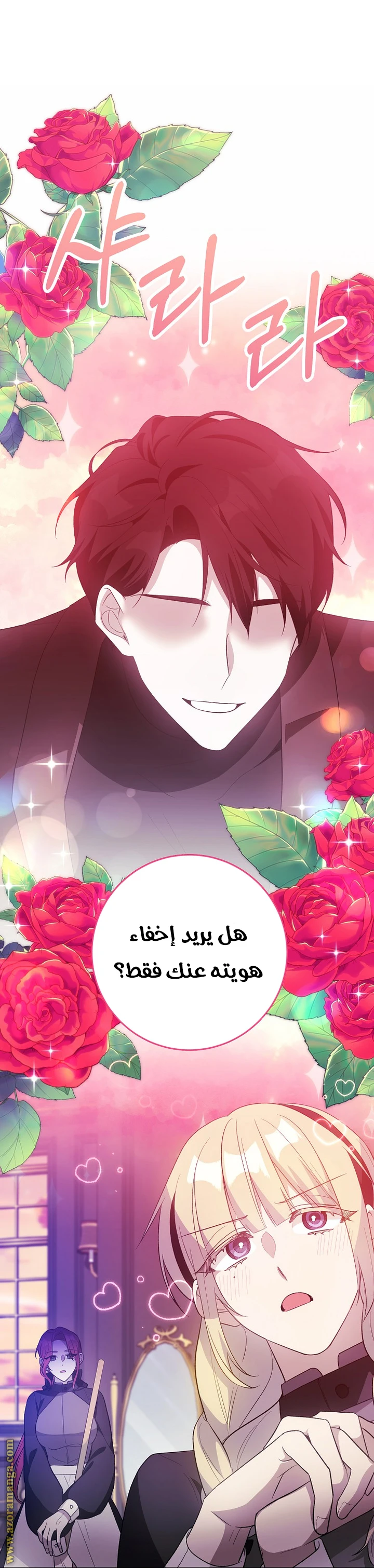 الصفحة 27