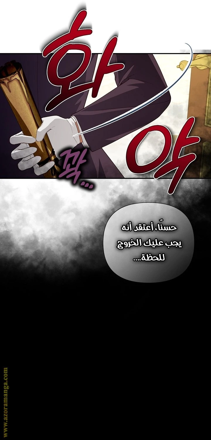 الصفحة 25