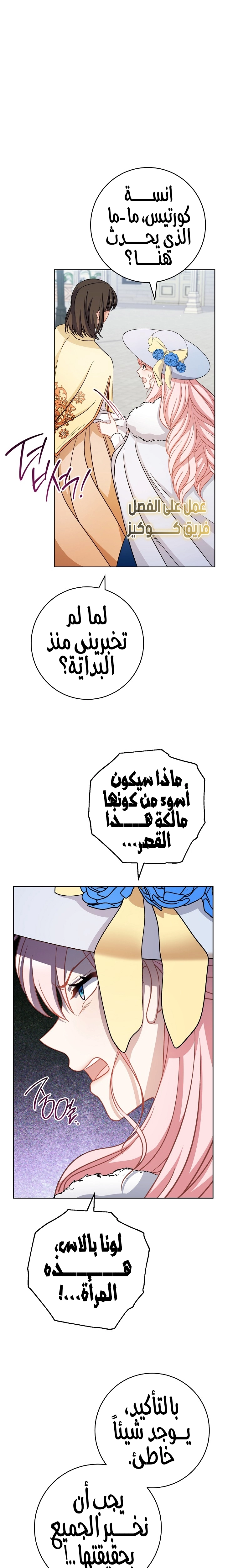 الصفحة 26