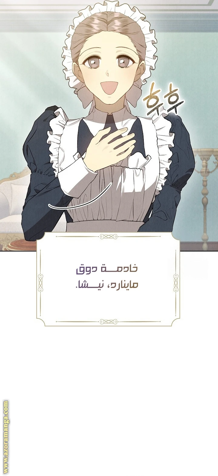 الصفحة 17
