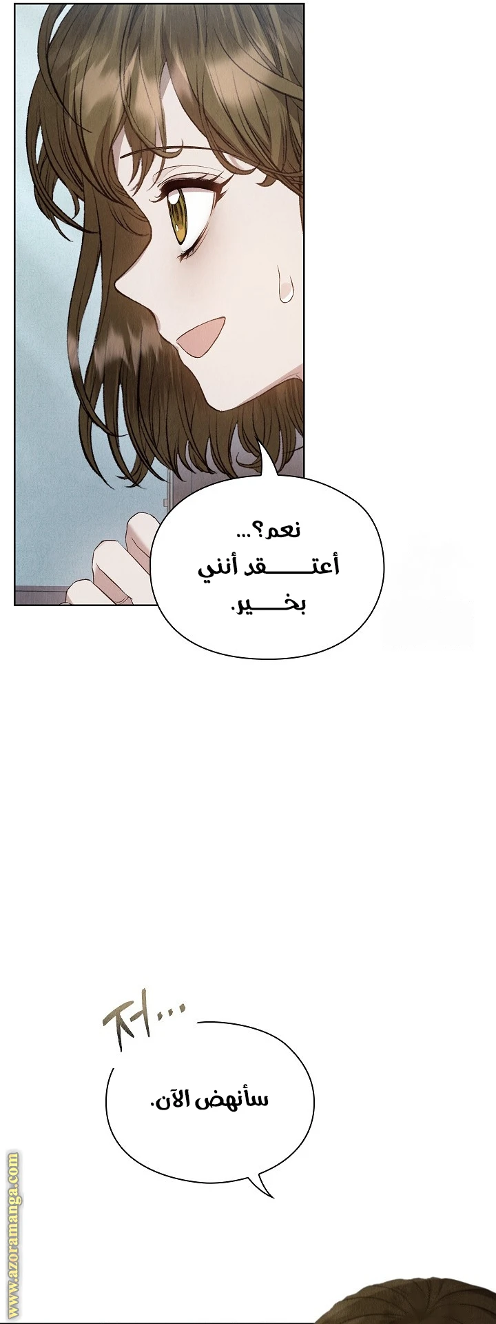 الصفحة 52