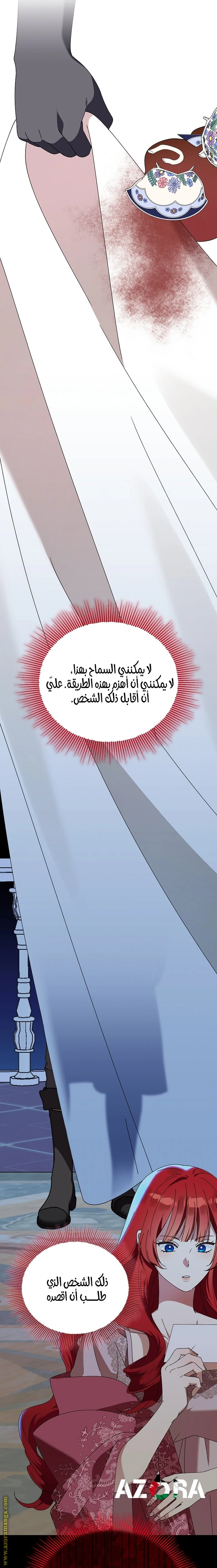 الصفحة 25