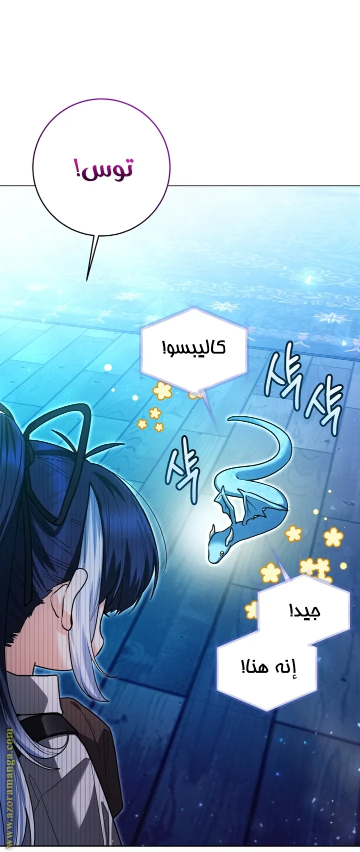 الصفحة 13