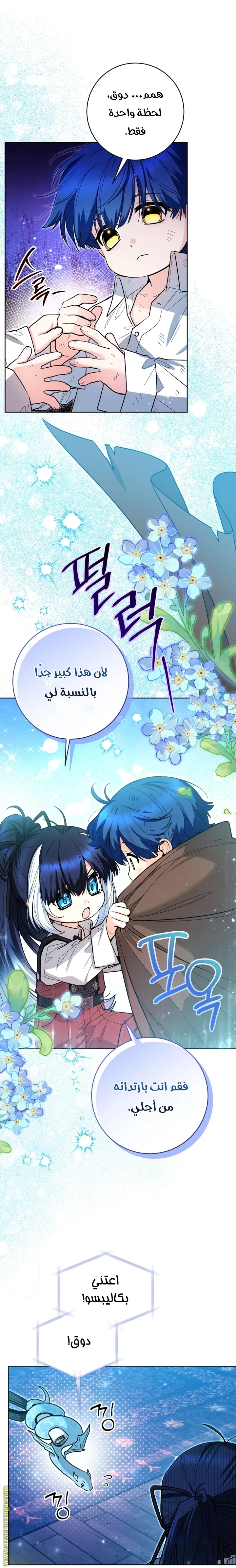 الصفحة 17