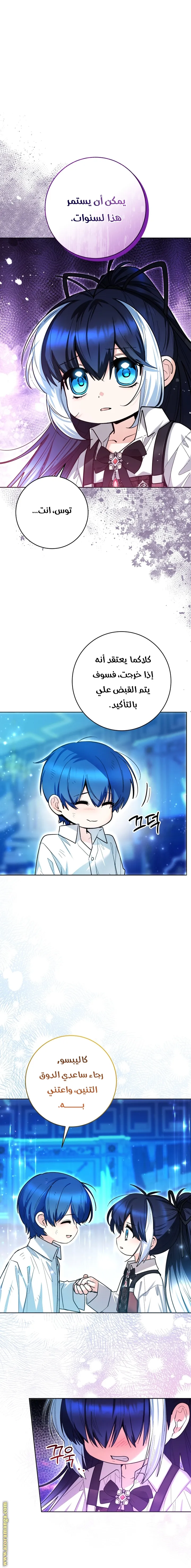 الصفحة 27