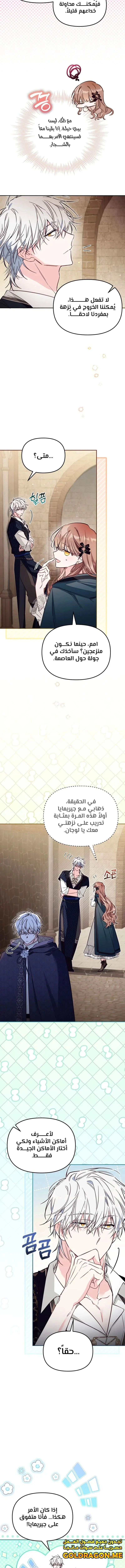 الصفحة 11