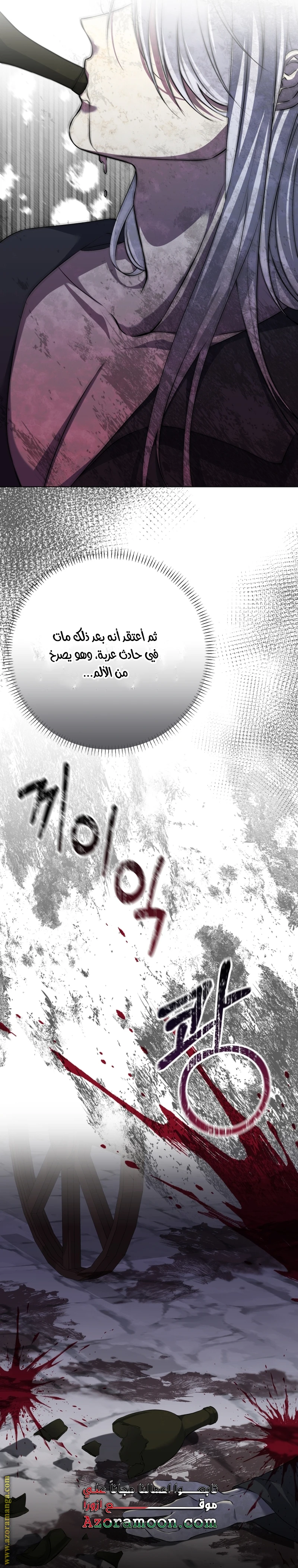 الصفحة 17