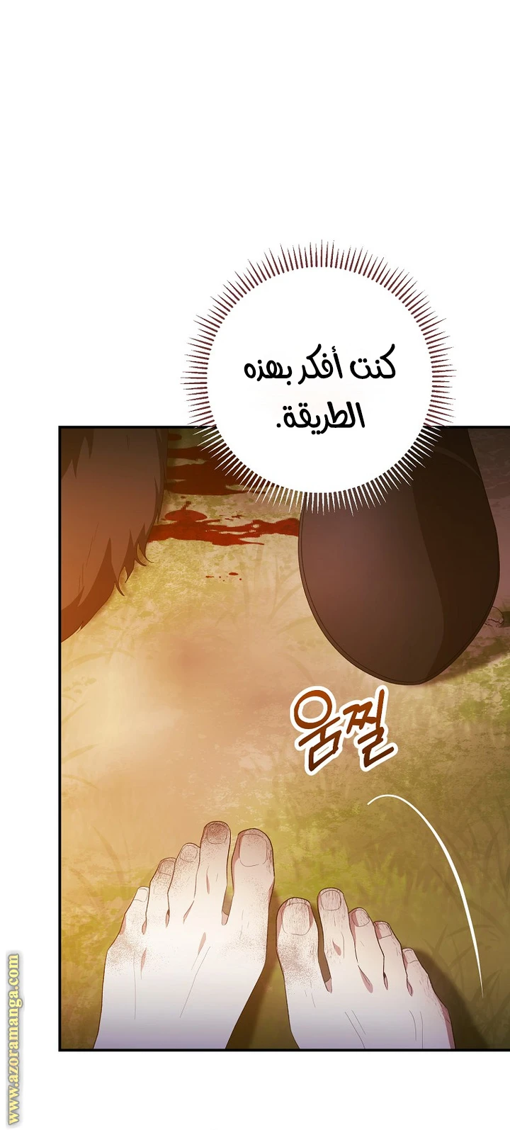 الصفحة 21