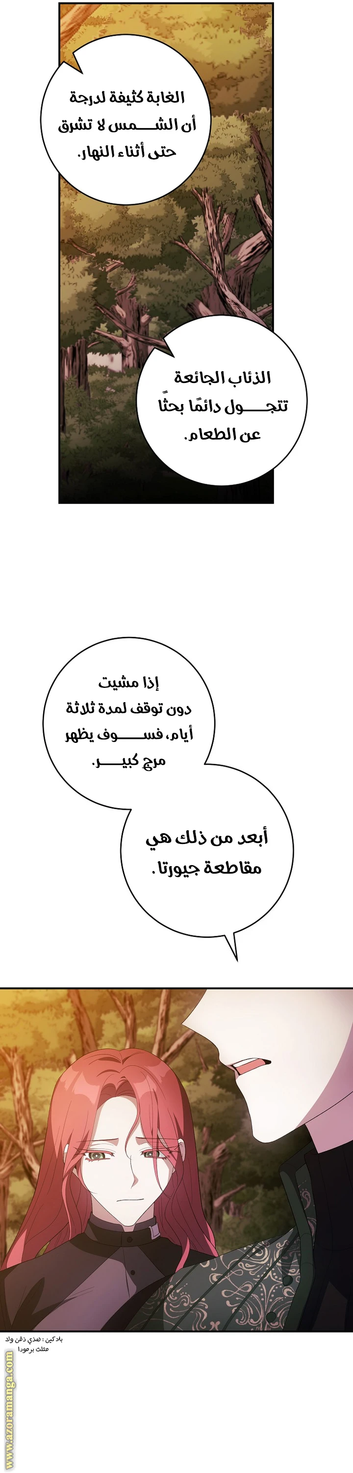 الصفحة 26