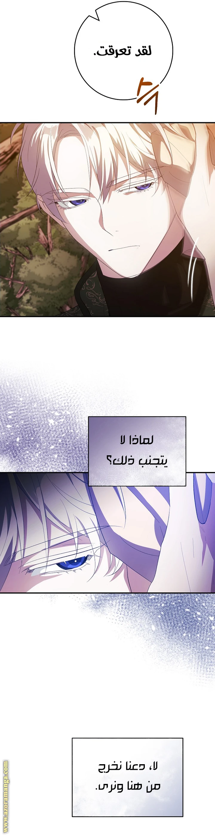 الصفحة 31