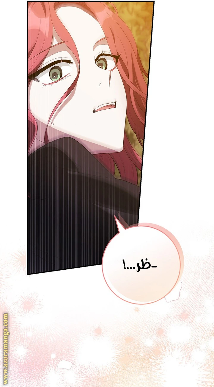 الصفحة 33