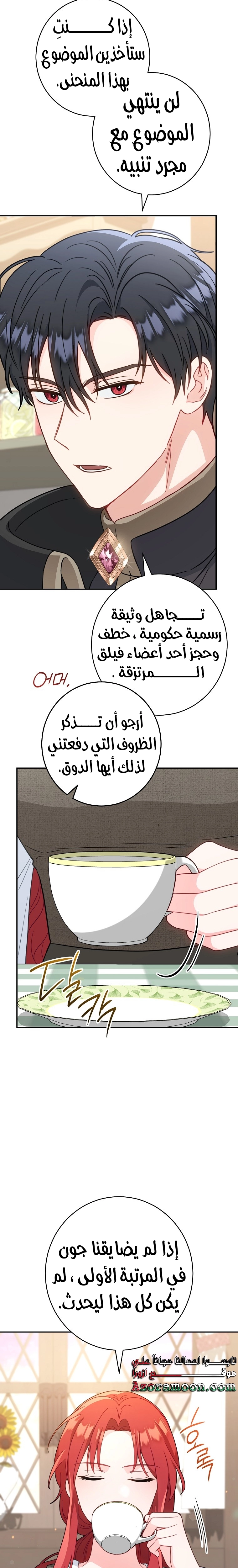 الصفحة 13