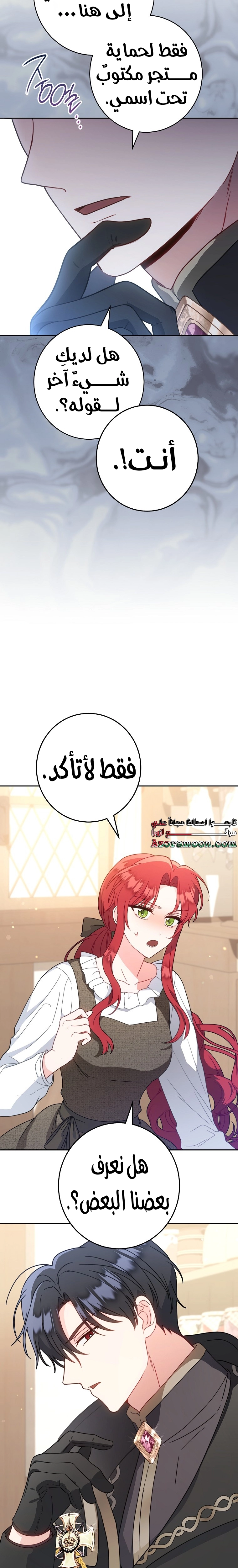 الصفحة 19