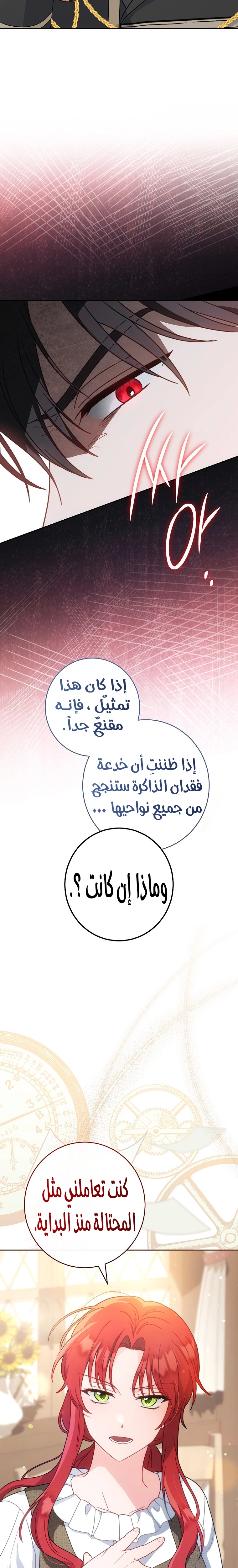 الصفحة 20